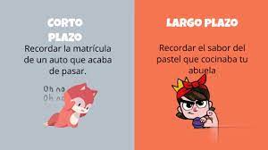 Memoria a corto y largo plazo