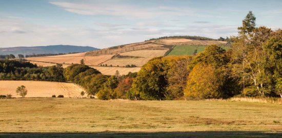 Brownian landscapes
