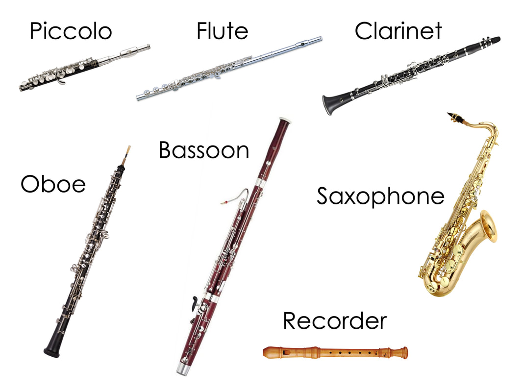 woodwind instruments