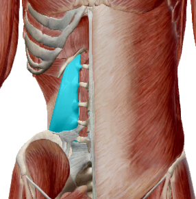 Cuadrado lumbar