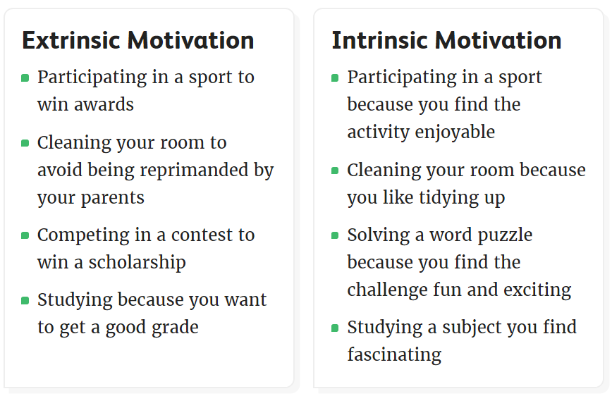 Intrinsic vs. Extrinsic
