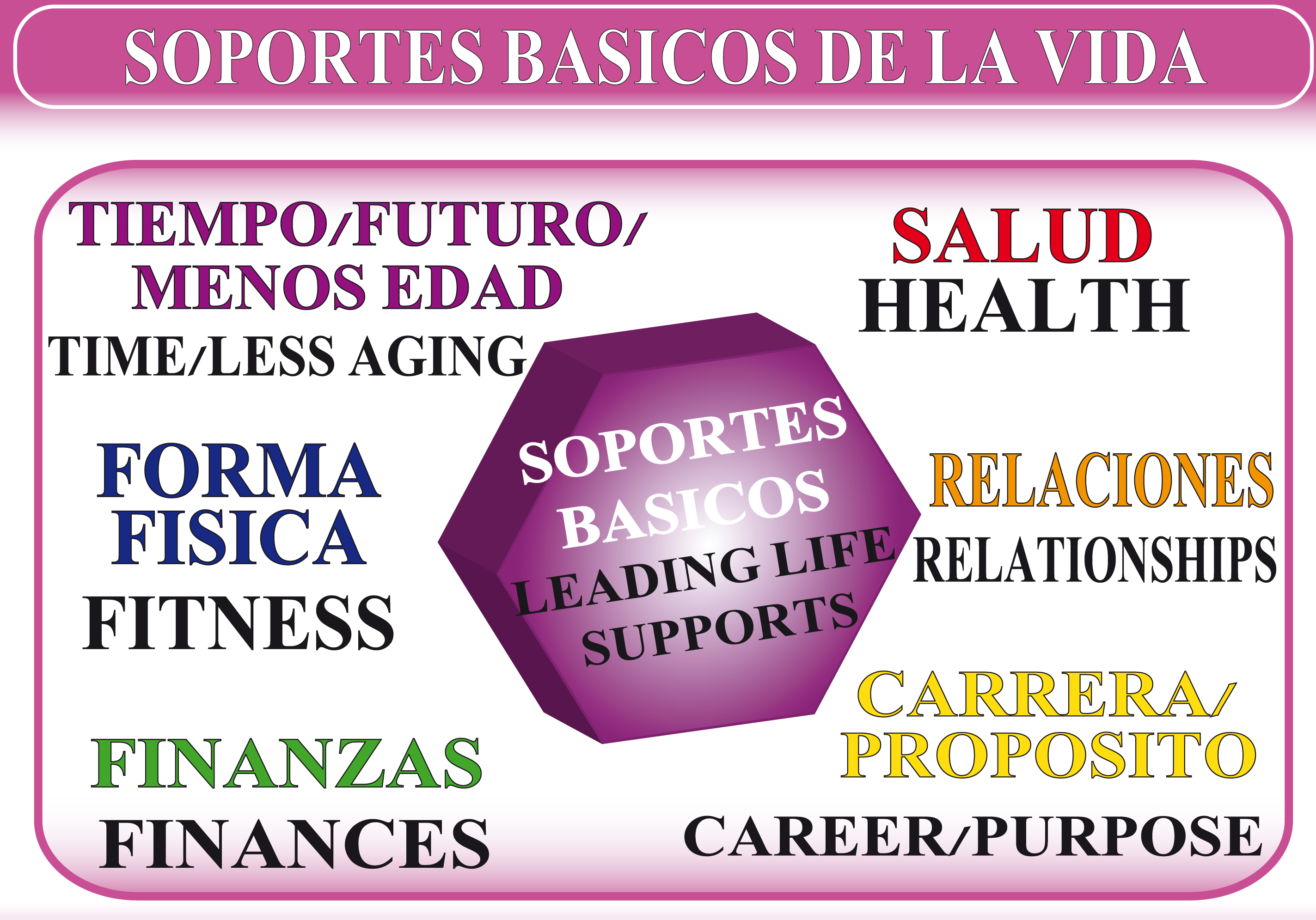 Soportes basicos de la vida