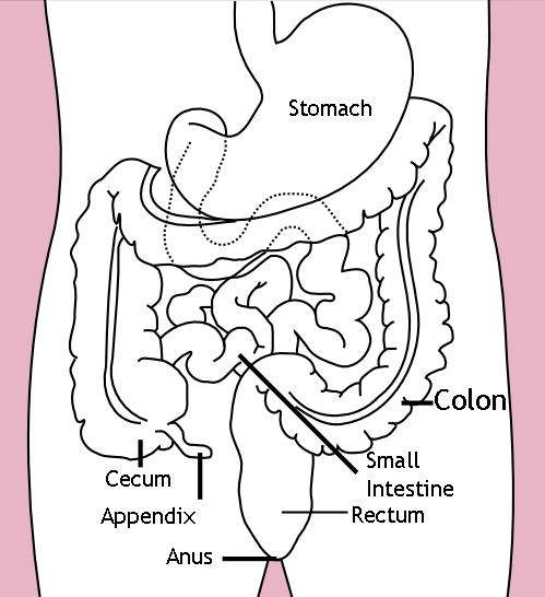 Appendix