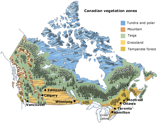 the 3 main regions are tundra, forest, grasslands for plants to grow.