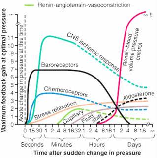 Mean Arterial Blood Pressure