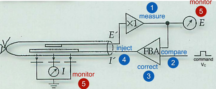 voltage clamp recoding
FIXED VOLTAGE, MEASURE CURRENT