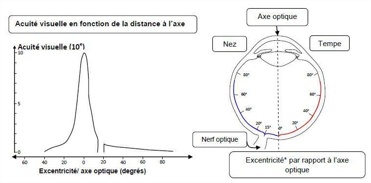 Acuité visuelle
