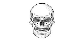 Le dessin