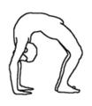 Yoga iyengar