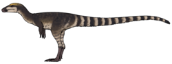 Sinosauropteryx lingyuanensis