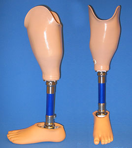 Prostheses