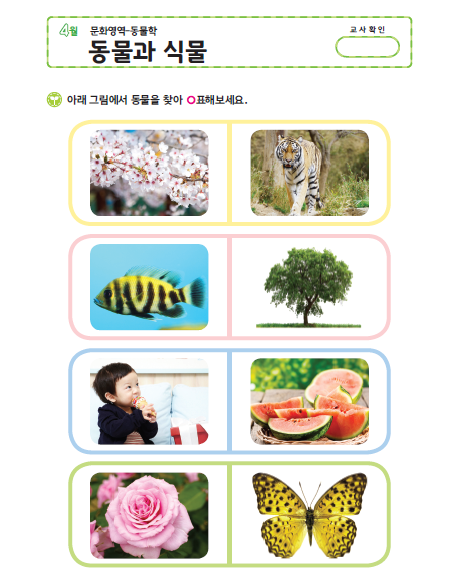 (몬-문화) 동물과 식물