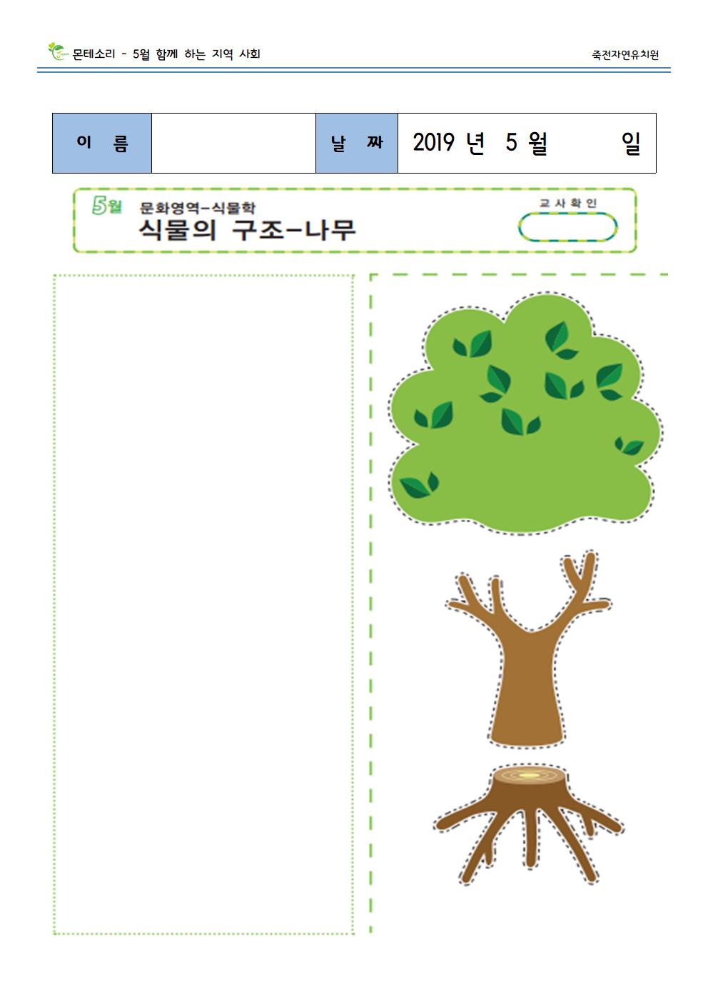 (몬) 식물의 구조