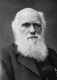 Associated with Darwin, whose theory of natural selection was influenced by Malthus' analysis of population growth