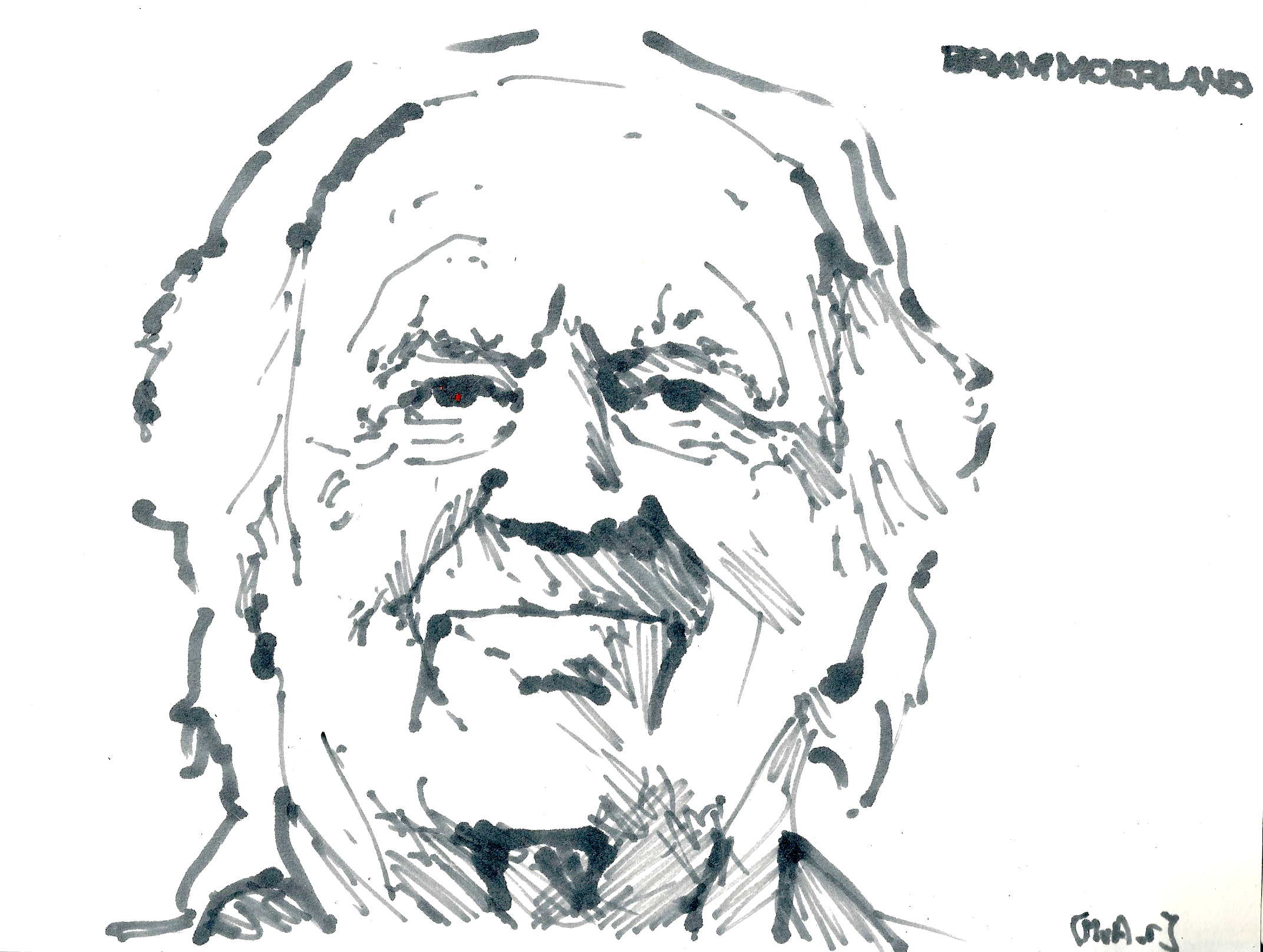 Bram Moerland