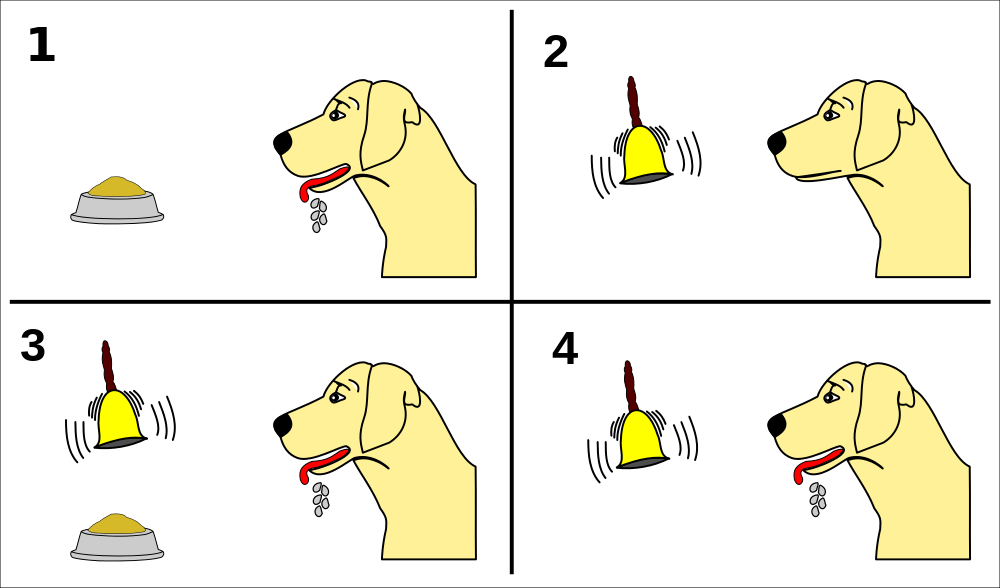 possibly through classical conditioning