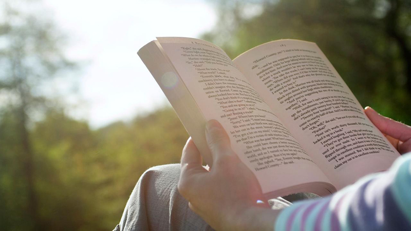 Word Smart - Linguistic Intelligence