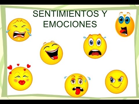 Atender dimensiones de la formación: afectiva, 
espiritual, estética y social.