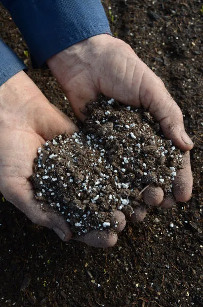 minerals like rocks and materials are usually found in soil.