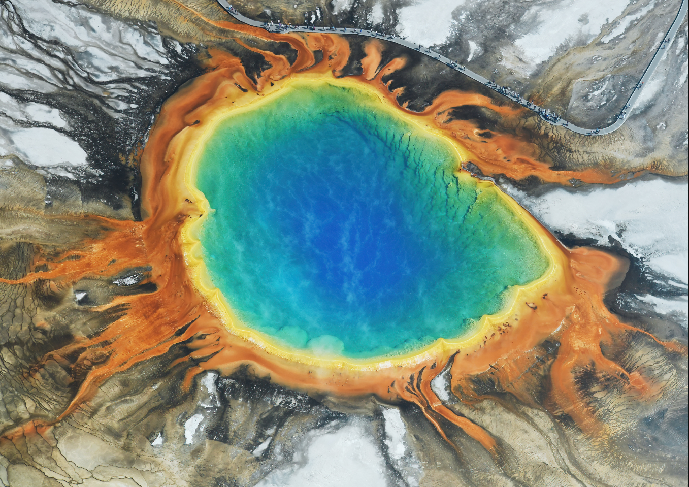 Generally are extremophiles and live in harsh/remote conditions.
