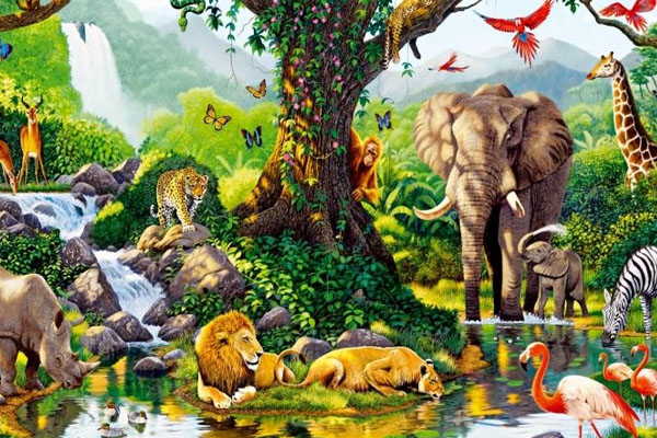 Ecomunidad animal