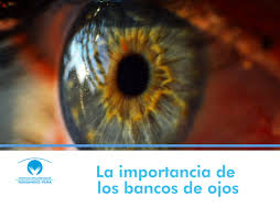 IMPORTANCIA