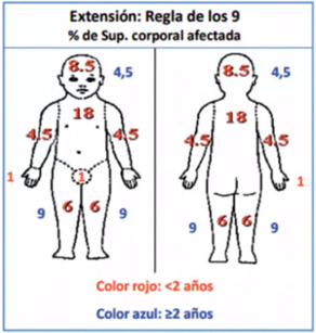 Índice de Severidad
SCORAD