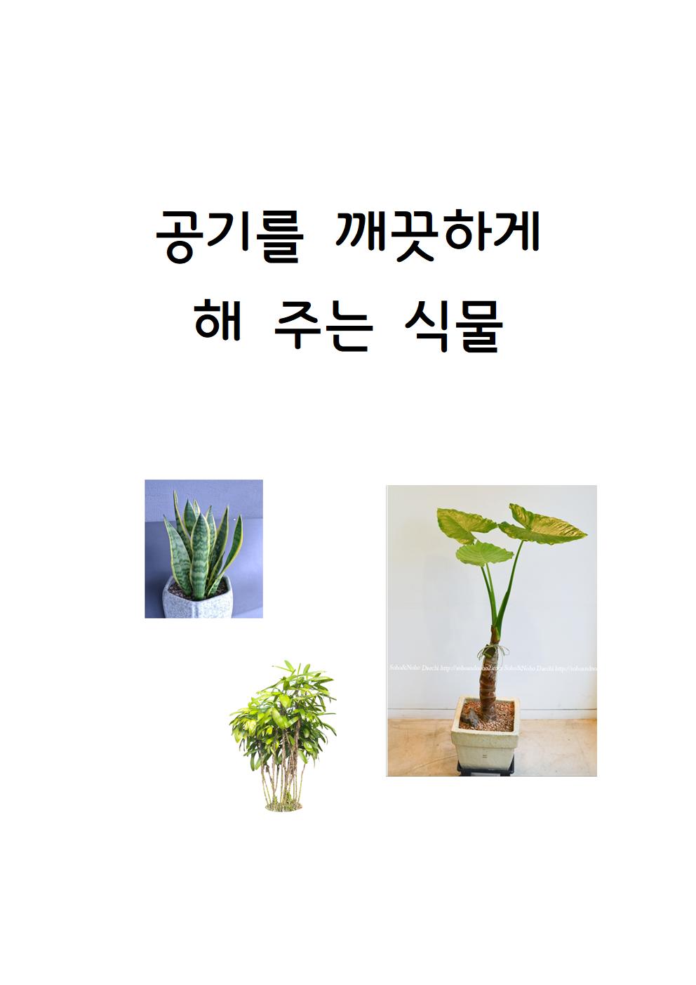 (과학영역) 공기를 깨끗하게 해주는 식물