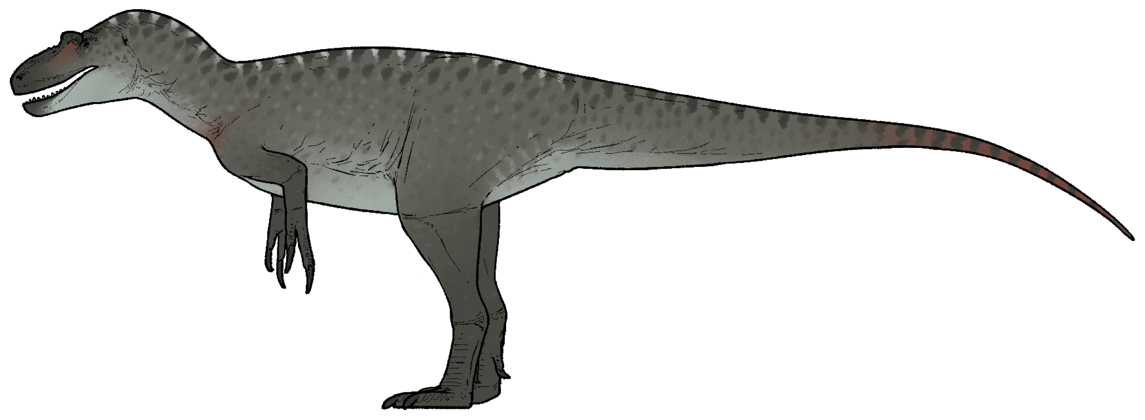 Dryptosaurus aquilunguis