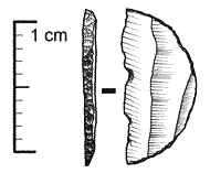 Microlito.