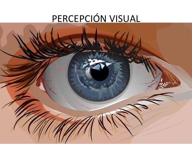 Tiene perspectiva visual que 
facilita el entendimiento del 
proyecto mostrado.
