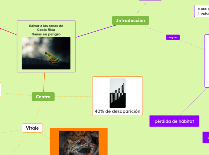 Salvar a las ranas de Costa RicaRanas en peligro