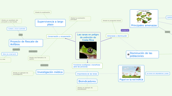 Mapa conceptual de ranas en peligro de extinción
