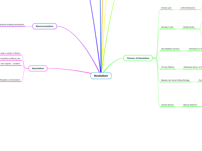 Evolution - Mind Map