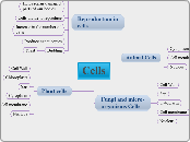 Cells - Mind Map