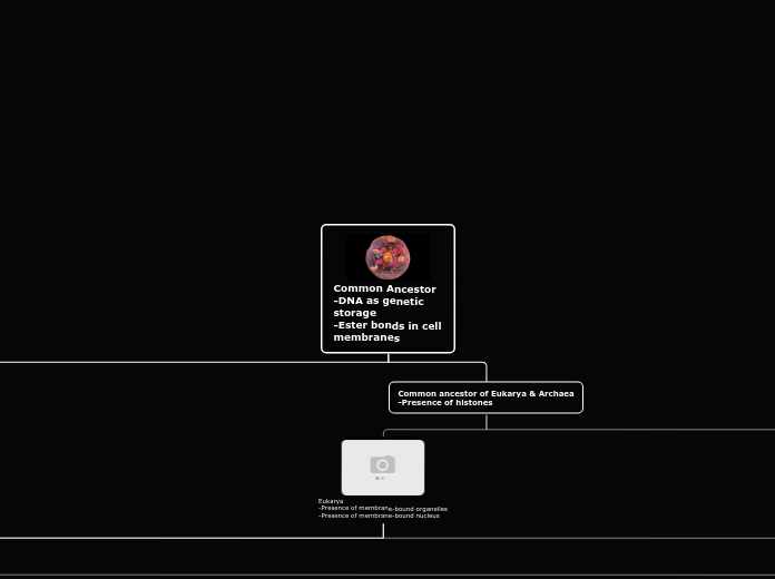 Common Ancestor
-DNA as genetic storage
-E...- Mind Map