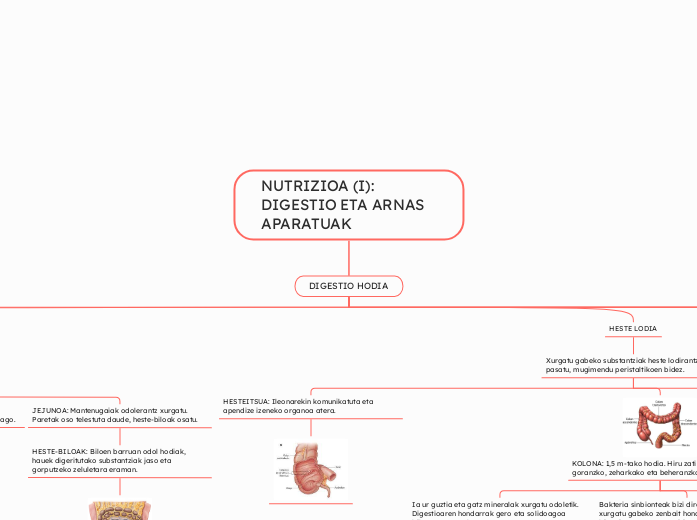 NUTRIZIOA (I): DIGESTIO ETA ARNAS APARATUAK 