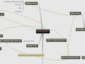 Palm Oils' Case - Mind Map