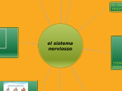 SISTEMA NERVIOSO - Mapa Mental