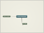Curriculum scolastico - Mappa Mentale