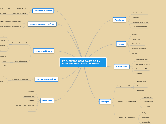 PRINCIPIOS GENERALES DE LA FUNCIÓN GAST...- Mapa Mental
