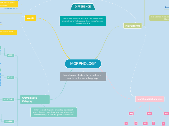 MORPHOLOGY - Mind Map