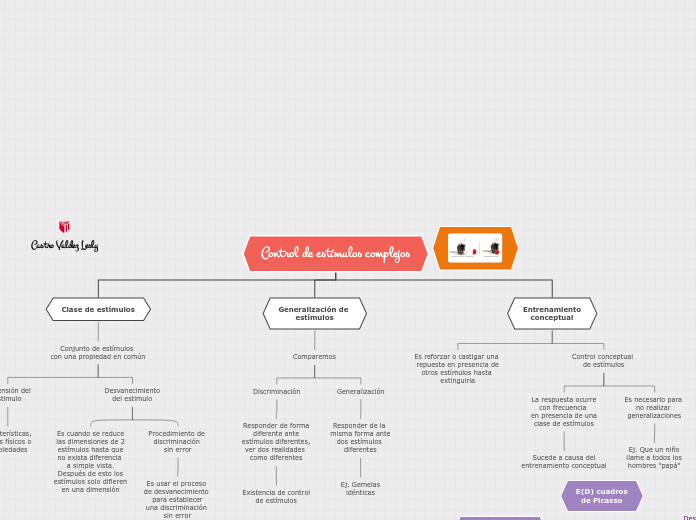 Control de estímulos complejos - Mapa Mental