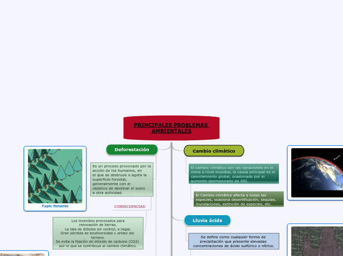 PRINCIPALES PROBLEMAS AMBIENTALES - Mapa Mental