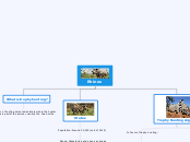 Rhinos - Mind Map