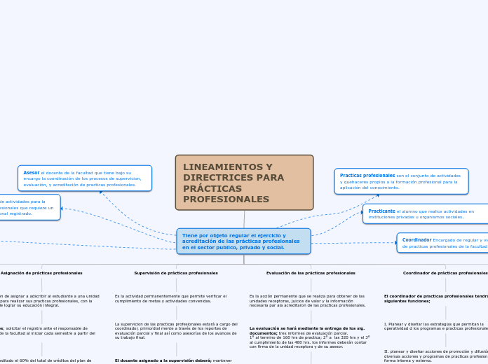 LINEAMIENTOS Y DIRECTRICES PARA PRÁCTIC...- Mapa Mental