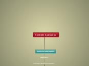  Comisión Avanzados  - Mapa Mental