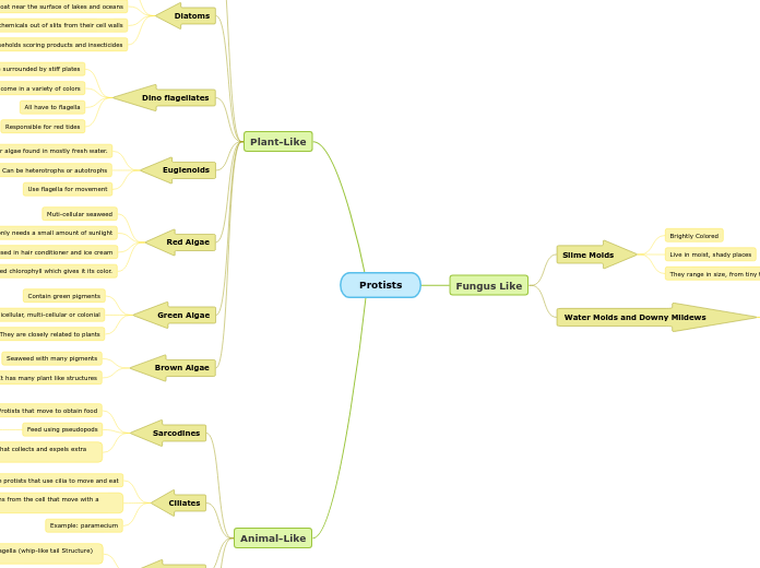 Protists - Mind Map