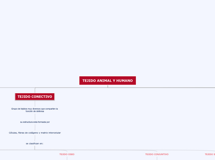 TEJIDO ANIMAL Y HUMANO - Mapa Mental