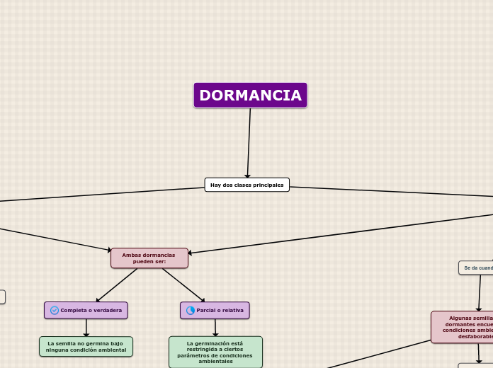 Hay dos clases principales - Mapa Mental